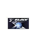 Xray Xb808 2010 New